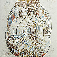 massimo salvoni_piccola